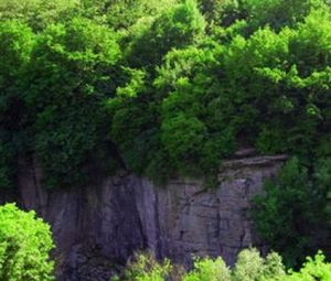 Екскурсія на кінний завод та каньйон річки Гірський Тікіч (Буки- Жажків)